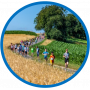 course_image