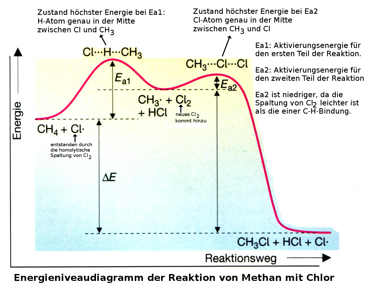 course_image